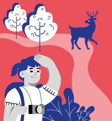 Edukacja przyrodnicza. Jak prowadzić leśne zajęcia z młodzieżą