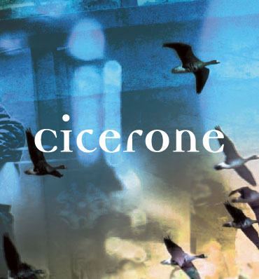 Cicerone - napis na tle kolorowego zdjęcia z kluczem lecących ptaków