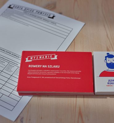 Elementy gry Hamernia - stos kolorowych kart z postaciami, formularz