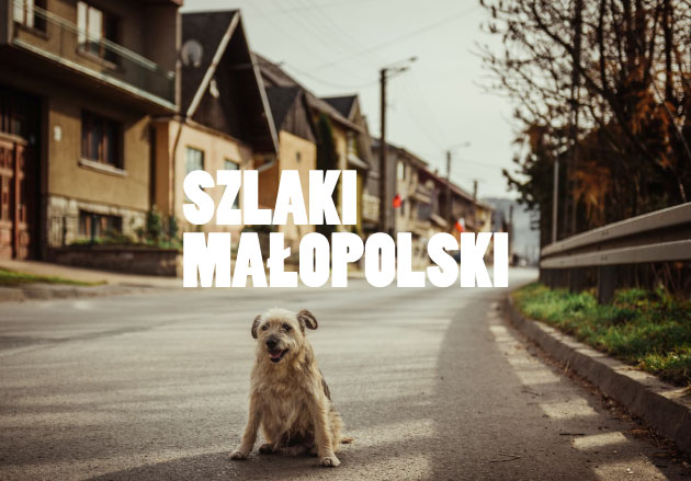 Logotyp Szlaków Małopolski nałożony na zdjęcie psa siedzącego na asfaltowej, wiejskiej ulicy